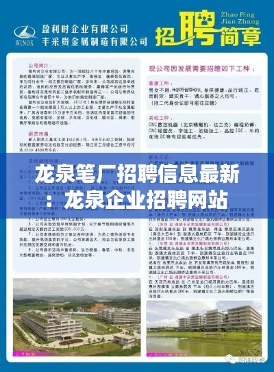 龙泉笔厂招聘信息最新：龙泉企业招聘网站 
