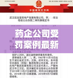 药企公司受罚案例最新视频：药企违法案例 