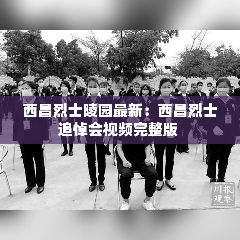 繁鸟萃棘 第3页
