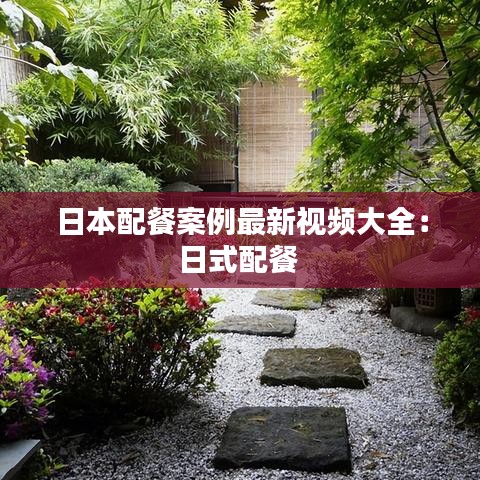 日本配餐案例最新视频大全：日式配餐 