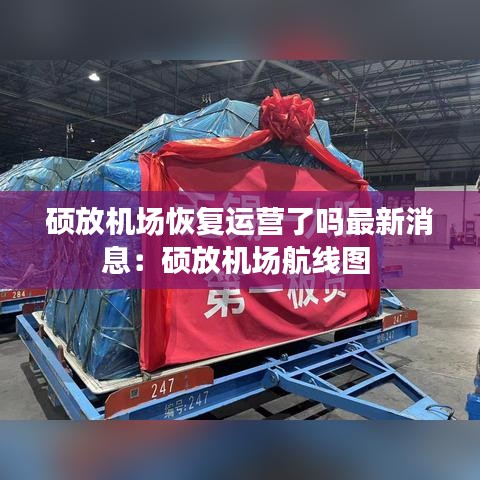 硕放机场恢复运营了吗最新消息：硕放机场航线图 