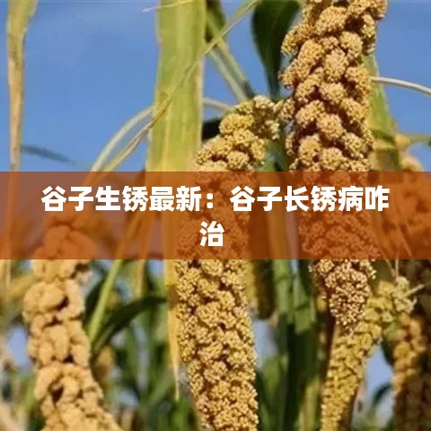 宁静致远 第2页
