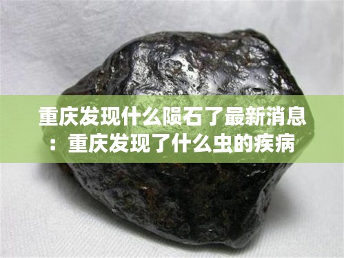 重庆发现什么陨石了最新消息：重庆发现了什么虫的疾病 