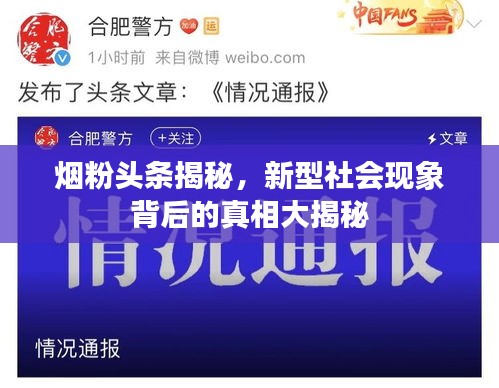 烟粉头条揭秘，新型社会现象背后的真相大揭秘