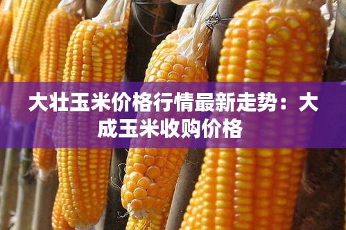 大壮玉米价格行情最新走势：大成玉米收购价格 