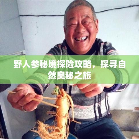 野人参秘境探险攻略，探寻自然奥秘之旅