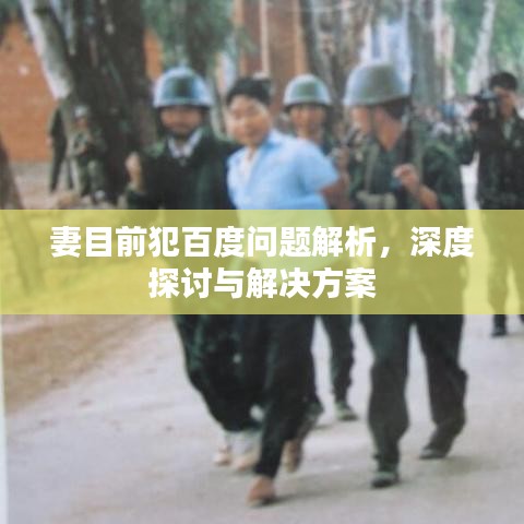 妻目前犯百度问题解析，深度探讨与解决方案