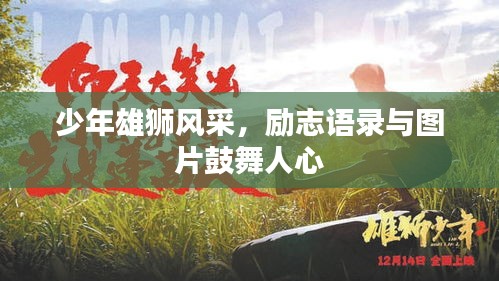 梨花带雨 第3页