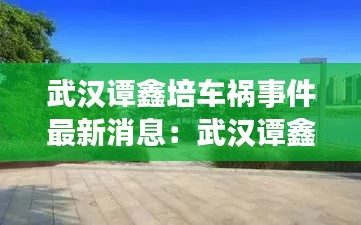 武汉谭鑫培车祸事件最新消息：武汉谭鑫培公园附近的房子 