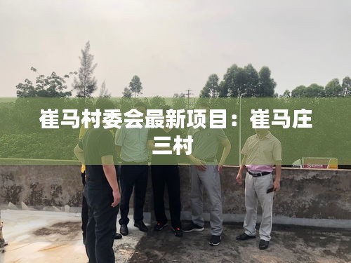 崔马村委会最新项目：崔马庄三村 