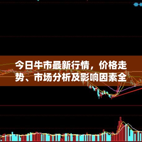 今日牛市最新行情，价格走势、市场分析及影响因素全面解读
