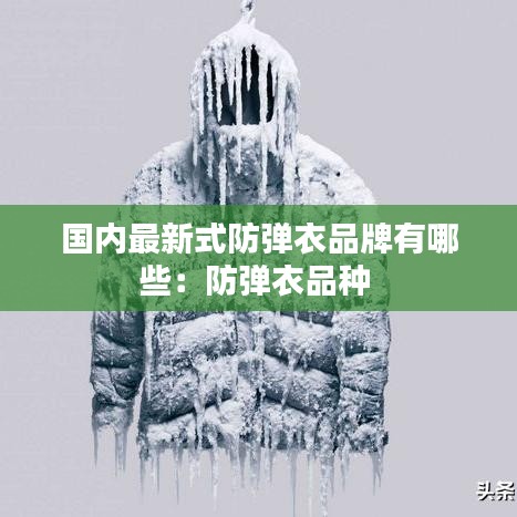 国内最新式防弹衣品牌有哪些：防弹衣品种 