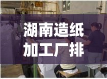 湖南造纸加工厂排名榜最新：湖南造纸企业排名 