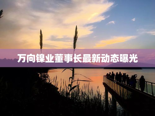 万向镍业董事长最新动态曝光