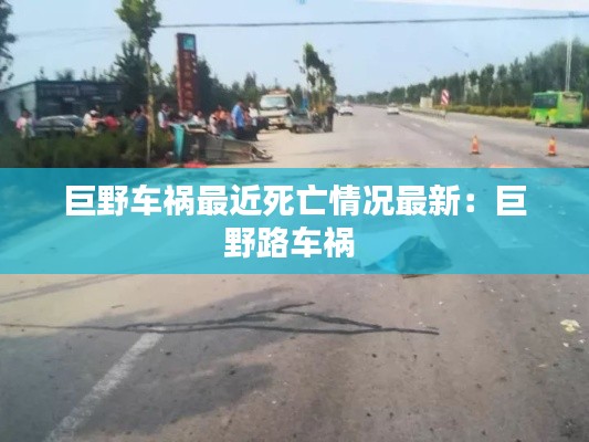 巨野车祸最近死亡情况最新：巨野路车祸 