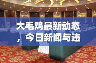 大毛鸡最新动态，今日新闻与违法犯罪问题深度探讨