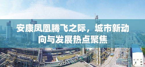 安康凤凰腾飞之际，城市新动向与发展热点聚焦