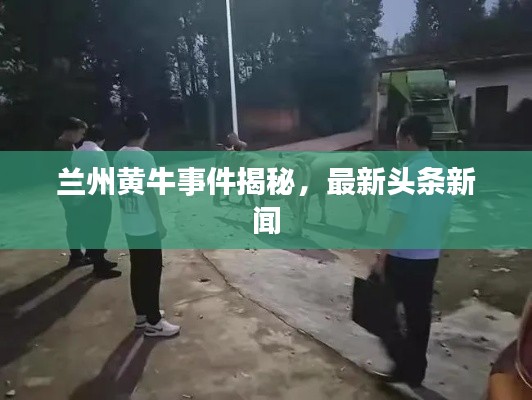 夭桃秾李 第2页