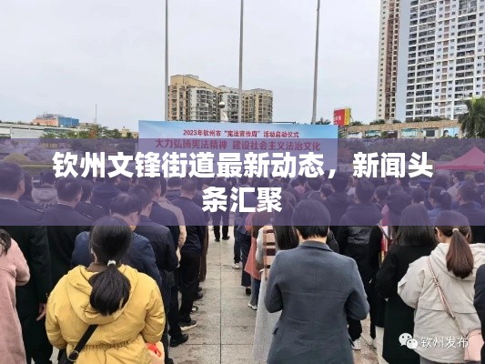 钦州文锋街道最新动态，新闻头条汇聚