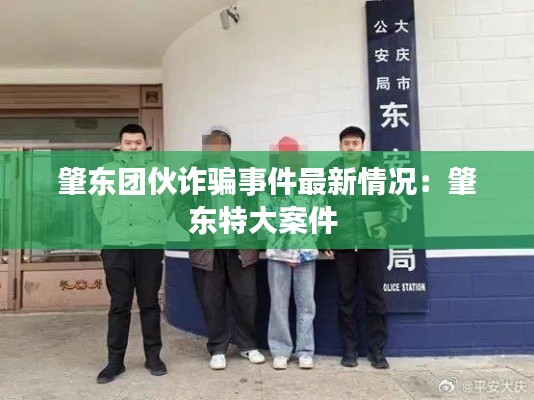 肇东团伙诈骗事件最新情况：肇东特大案件 