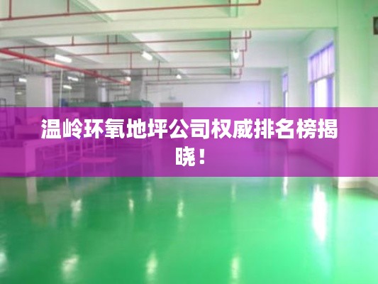 温岭环氧地坪公司权威排名榜揭晓！