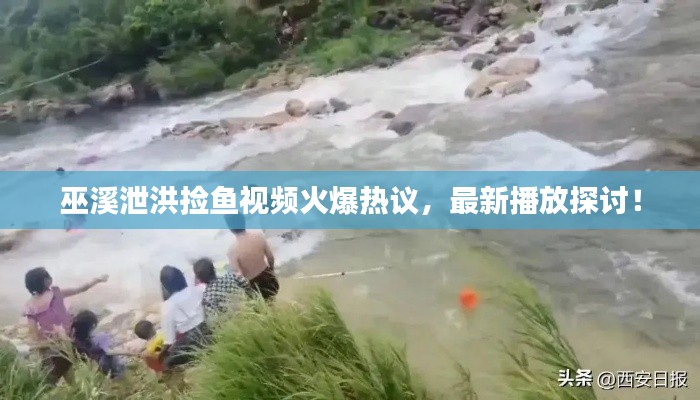 巫溪泄洪捡鱼视频火爆热议，最新播放探讨！