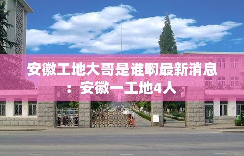 安徽工地大哥是谁啊最新消息：安徽一工地4人 