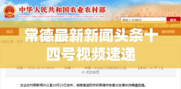 常德最新新闻头条十四号视频速递