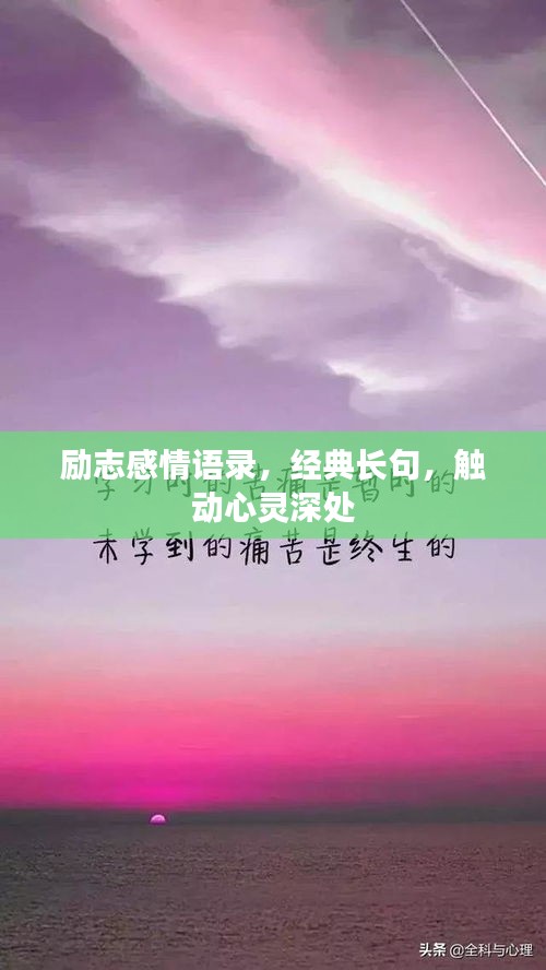 回眸最初 第2页