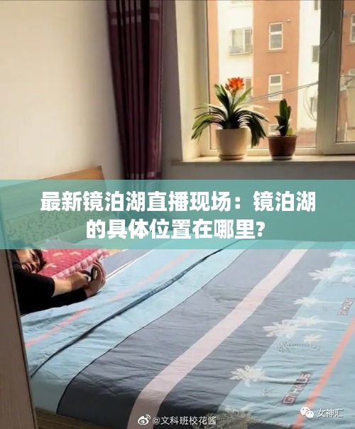 贵戚之卿 第2页