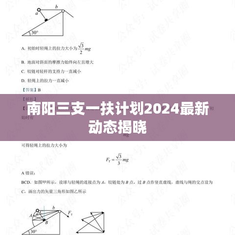 南阳三支一扶计划2024最新动态揭晓