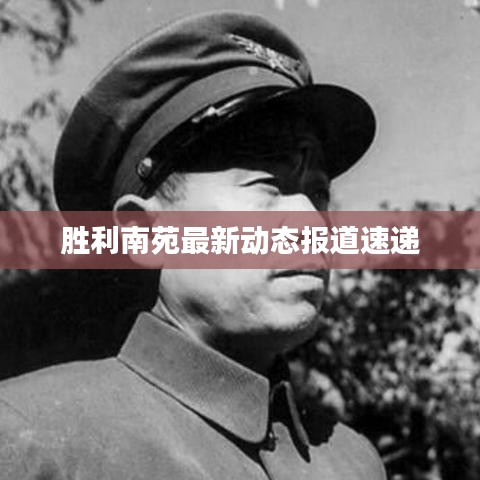 鸟为食亡 第3页