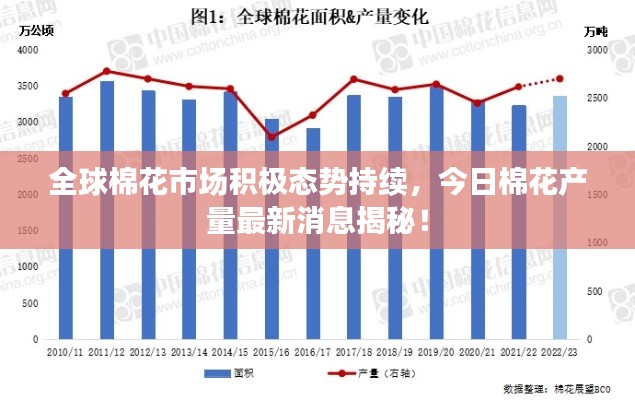 全球棉花市场积极态势持续，今日棉花产量最新消息揭秘！