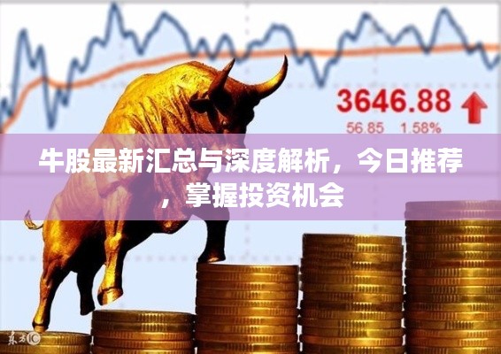 牛股最新汇总与深度解析，今日推荐，掌握投资机会