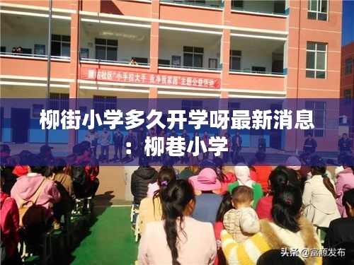 柳街小学多久开学呀最新消息：柳巷小学 