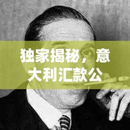 独家揭秘，意大利汇款公司排名榜单，权威榜单一网打尽！