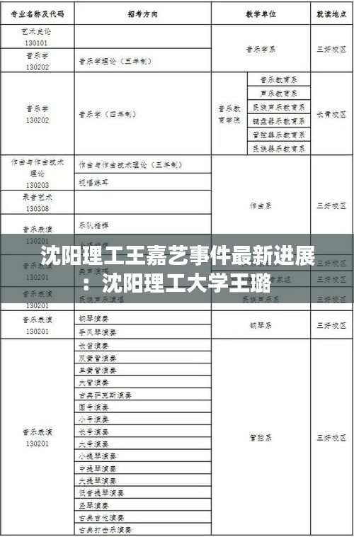沈阳理工王嘉艺事件最新进展：沈阳理工大学王璐 
