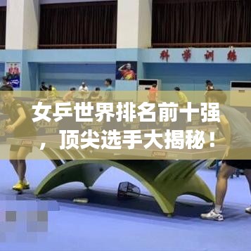 女乒世界排名前十强，顶尖选手大揭秘！