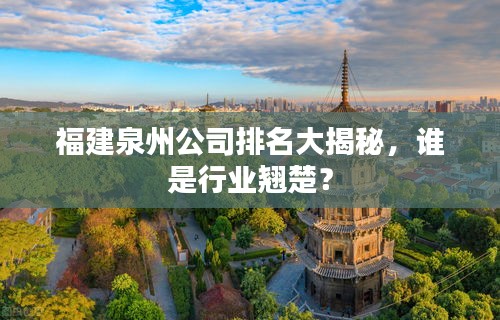 福建泉州公司排名大揭秘，谁是行业翘楚？