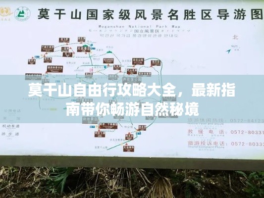 莫干山自由行攻略大全，最新指南带你畅游自然秘境