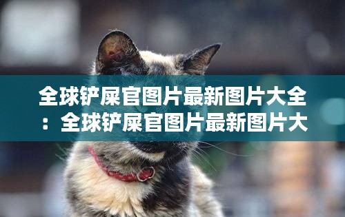 售后流程 第80页