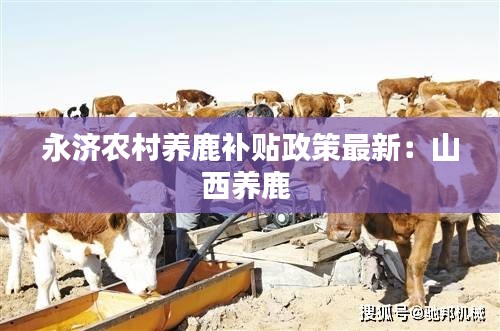 永济农村养鹿补贴政策最新：山西养鹿 