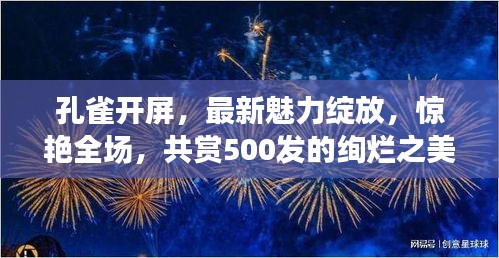 孔雀开屏，最新魅力绽放，惊艳全场，共赏500发的绚烂之美