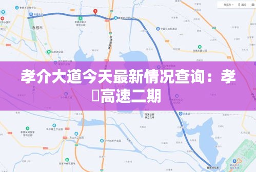 孝介大道今天最新情况查询：孝硚高速二期 