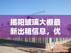揭阳玻璃大棚最新出租信息，优质选择，一览无余