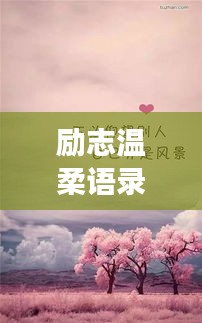 励志温柔语录，甜蜜的力量，温柔前行的心声