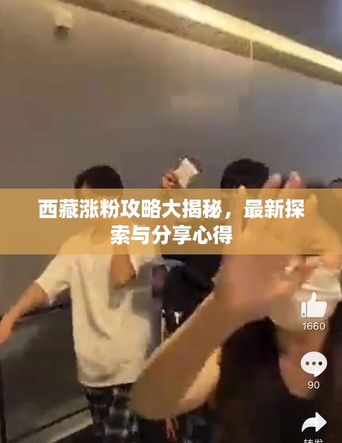 西藏涨粉攻略大揭秘，最新探索与分享心得