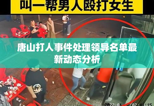 唐山打人事件处理领导名单最新动态分析
