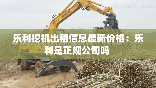 乐利挖机出租信息最新价格：乐利是正规公司吗 