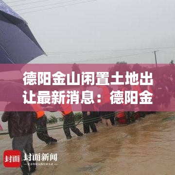 德阳金山闲置土地出让最新消息：德阳金山镇的发展 